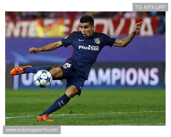 从天才少年到争议焦点：菲利克斯的职业轨迹