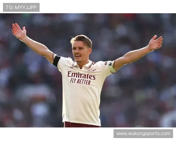 厄德高战术作用是否依赖更强队友支撑