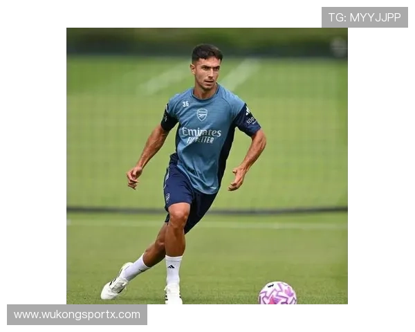 祖比门迪评价两极分化：战术价值与比赛影响力争议