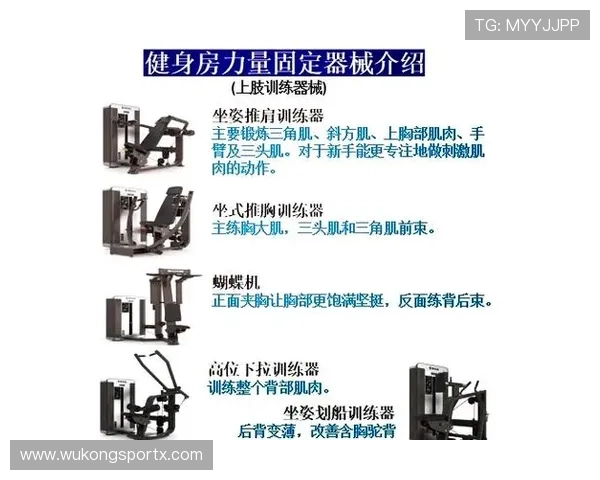 合法冲撞判罚三要素：肩对肩、争球意图与力量控制