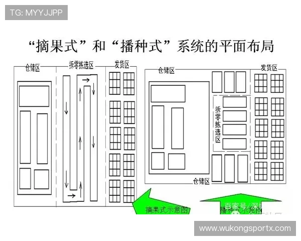 避免掩护犯规的判定标准与实战技巧详解